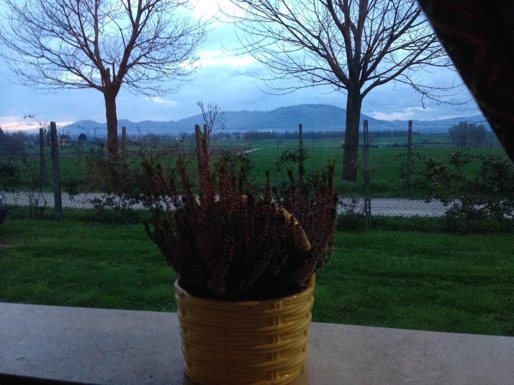 Dreams Valley Valmontone Exterior foto